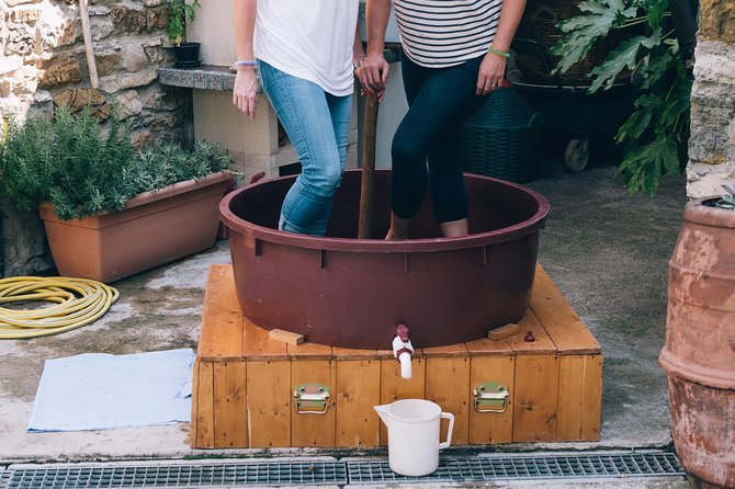 Private Grape stomping at Chianti Farmhouse - Timing and Where to Meet in Castellina in Chianti
