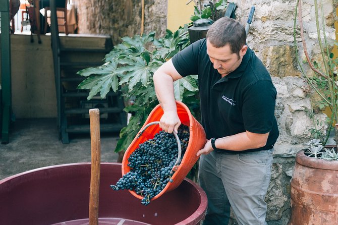 Private Grape stomping in Chianti from Florence - Castellina in Chianti Free Time: What You Get Beyond the Farm