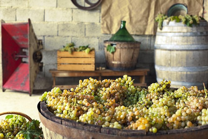 Private Grape stomping in Chianti from Florence - Price and Value: Is $473.22 Worth It?