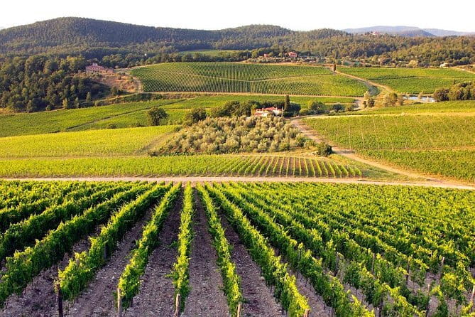 Private guided tour: Siena San Gimignano and Chianti - Key things I’d mark on your mental map