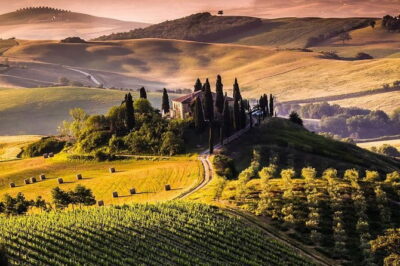 Private guided tour: Siena San Gimignano and Chianti - Siena’s Piazza del Campo: Palio Lore, Tower Views, and Fountain Gaia