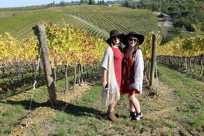 PRIVATE Half-Day Tour: Chianti Classico Wine Experience. - Entering the Chianti Classico day: pickup, pace, and the private minivan