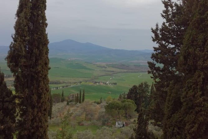 Private Montepulciano & Pienza Day Trip from Florence - The Vino Nobile stop: how to handle the paid tasting