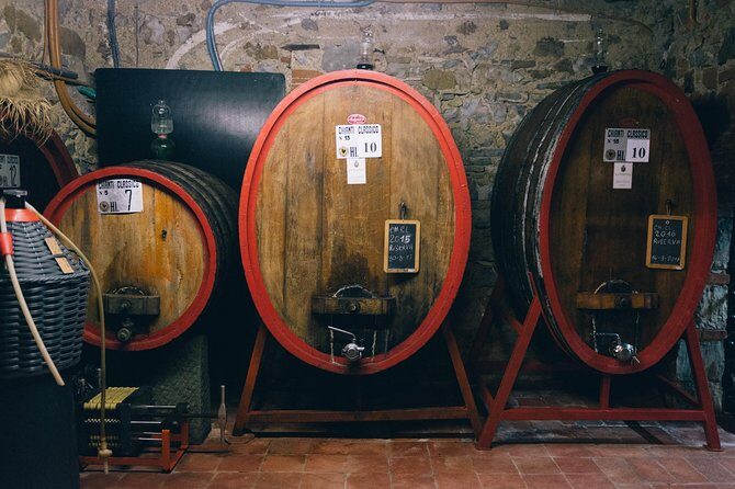 Private Off Road Wine Tour in Chianti - Off-Road Comfort and What to Expect From the Ride