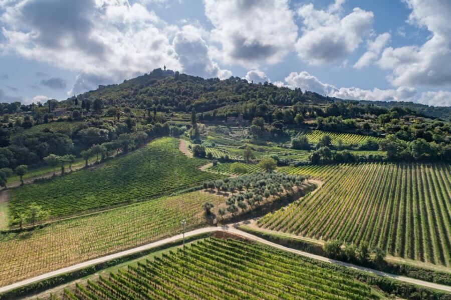 Private Plus Wine Tasting Tour - FAQ