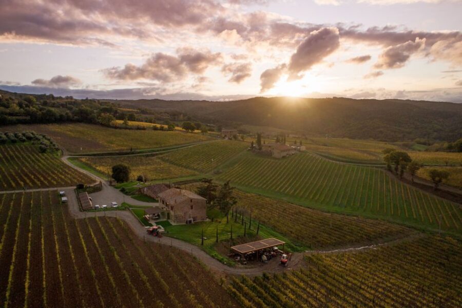 Private Plus Wine Tasting Tour - Vineyard and Cellar Tour: Seeing Brunello’s steps up close