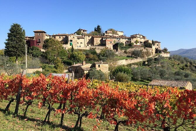 Private Siena, S. Gimignano, Chianti Road and Wine Tasting - Key highlights worth planning for
