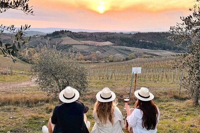 Private Siena, S. Gimignano, Chianti Road and Wine Tasting - Guicciardini Strozzi villa & vineyard wine tasting with food
