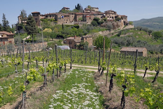 Private Siena to Florence Chianti and San Gimignano Transfer Tour - Price and Value: What $949.25 Gets Your Group