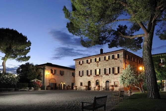 Private Tour and Wine Tasting at Castle-Wineries in Chianti from Florence - Gaiole in Chianti: the modern Chianti Classico revival and the Enoteca tasting