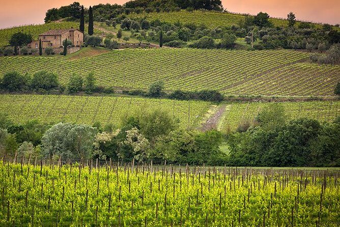 Private tour Brunello di Montalcino and Nobile di Montepulciano wine experience in Tuscany - Montalcino Town Time and a Brunello Lunch Tasting