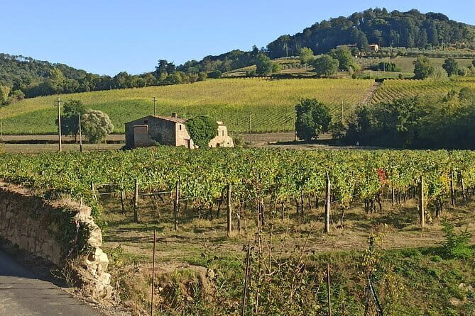 PRIVATE TOUR: Chianti Afternoon tour with visit to 2 wine farms - Quick hits for this Chianti afternoon tour