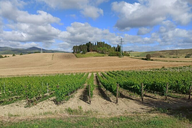 PRIVATE TOUR: Chianti Afternoon tour with visit to 2 wine farms - Via Chiantigiana photo stops and the drive that sets the mood