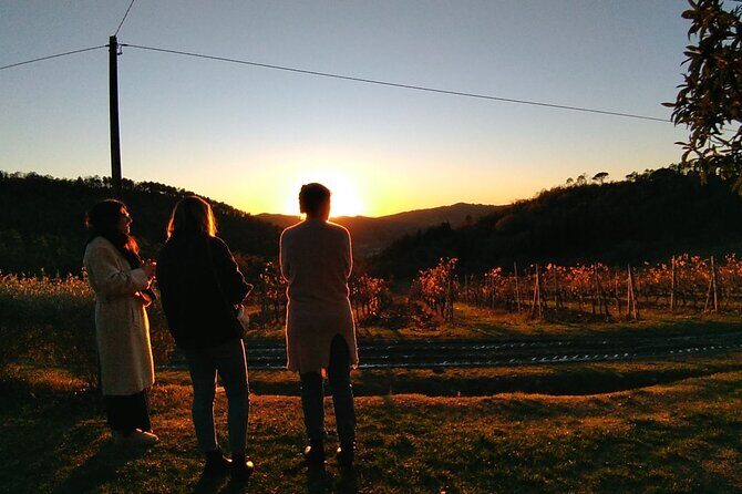 Private Tour- Chianti By Minivan At Sunset - The wine estate tasting: what you get (and why it matters)