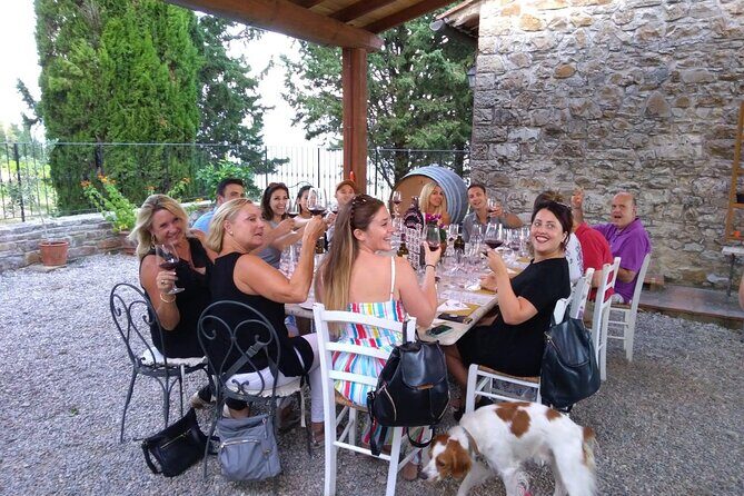 Private Tour- Chianti By Minivan At Sunset - Who should book this private Chianti sunset tour?