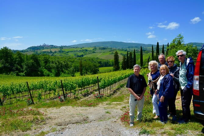 Private Tour: Chianti Region Tour by Minivan - A private Chianti minivan day that doesn’t feel rushed