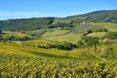 Private Tour: Chianti Region Tour by Minivan - 9:00 am pickup in Florence and the flexible pace you’ll feel all day