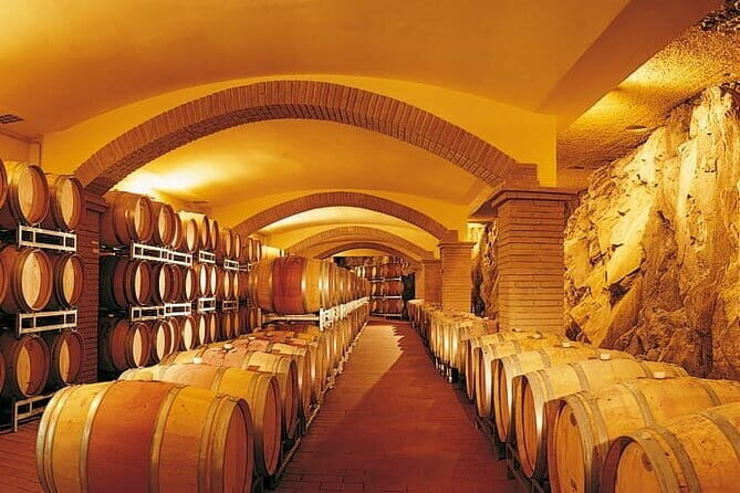 Private Tour: Chianti Winery, Montefioralle, and Greve in Chianti - How the guide and driver shape your day
