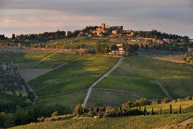 Private tour from Livorno port to Chianti Wine Region - Key points at a glance