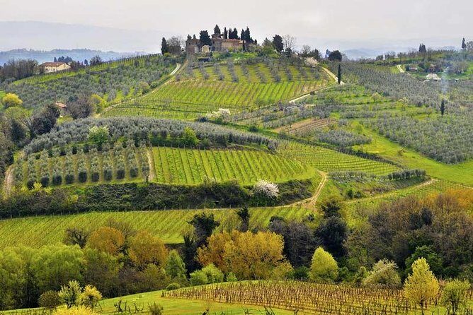 Private tour from Livorno port to Chianti Wine Region - Rolling Hills to Chianti: Photo Stops and Winery Decisions