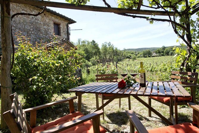 Private tour from Livorno port to Chianti Wine Region - Transportation, Comfort, and the Private Factor