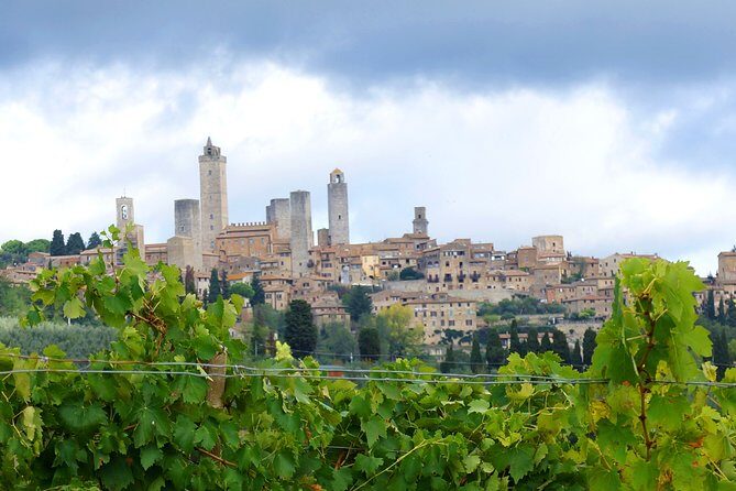 Private Tour: Guided Hike in Tuscany with Transport from Siena - Halfway lunch break: a Tuscan farm picnic with wine (no food packing required)