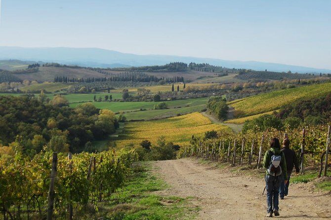 Private Tour: Guided Hike in Tuscany with Transport from Siena - After lunch: a brief walk, then the minivan to San Gimignano