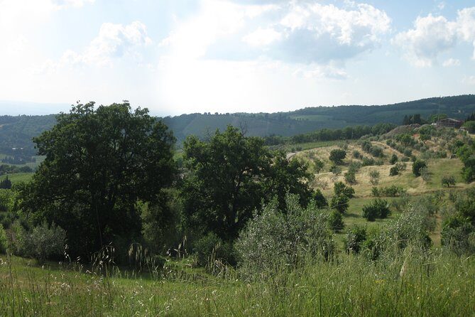 Private Tour: Guided Hike in Tuscany with Transport from Siena - San Gimignano on your schedule: UNESCO streets, towers, and gelato stops