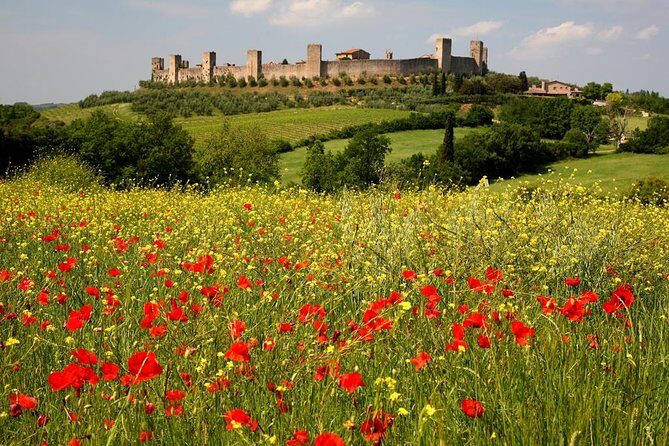 Private Tour: Guided Hike in Tuscany with Transport from Siena - Via Francigena walk: the medieval pilgrimage route you’ll recognize on foot