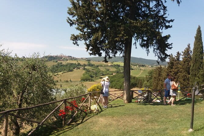 Private Tour in San Gimignano and Chianti Day Trip from Florence - Price and logistics: what $204.24 covers (and why it matters)