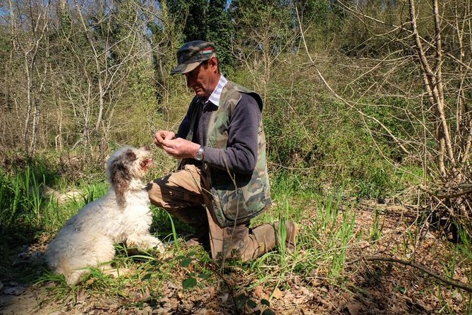 Private Truffle Hunting in Chianti - Stop 1: Meet the Truffle Hunter and Dogs (and Learn What You’re Looking For)