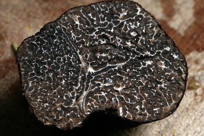 Private Truffle Hunting in Chianti - The Olive Oil and Wine Production Story Your Guide Shares