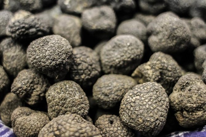 Private Truffle Hunting in Chianti - Price and Value: What $401.01 Buys You in Real Terms