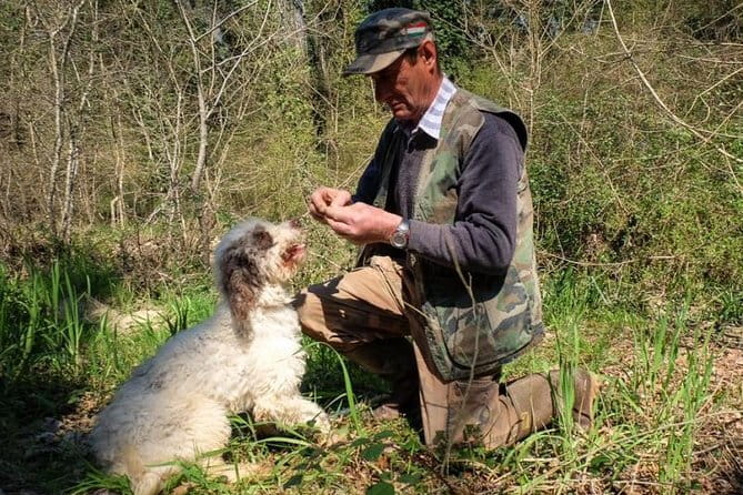 Private Truffle Hunting in Chianti from Florence - Key moments that make this tour worth it