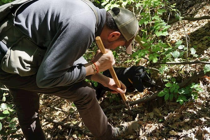 Private Truffle Hunting in Chianti from Florence - Starting in Florence: the morning rhythm that sets the tone