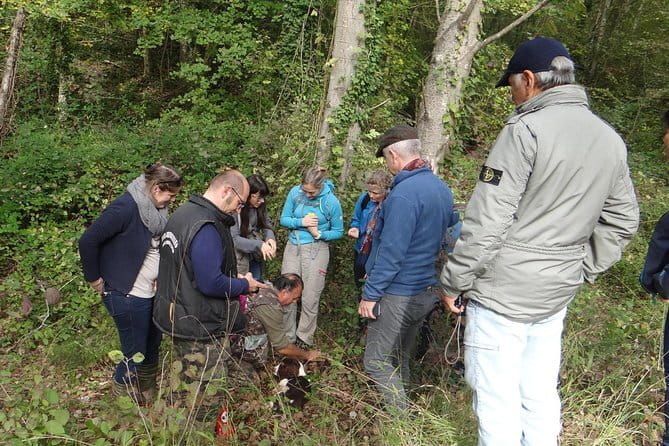 Private Truffle Hunting in Chianti from Florence - The 3-course truffle lunch and wine pairing: what to expect (and what to watch)