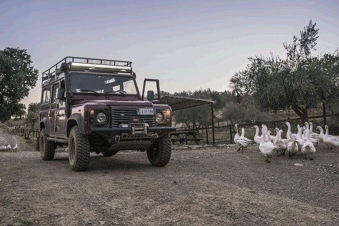 Private Truffle Hunting in Chianti from Florence - Who this tour is best for (and who should skip it)