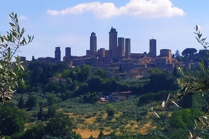Private Tuscan Cooking Class And Wine Tasting in Radda in Chianti - Price, time, and what you’re really paying for ($166 per person)