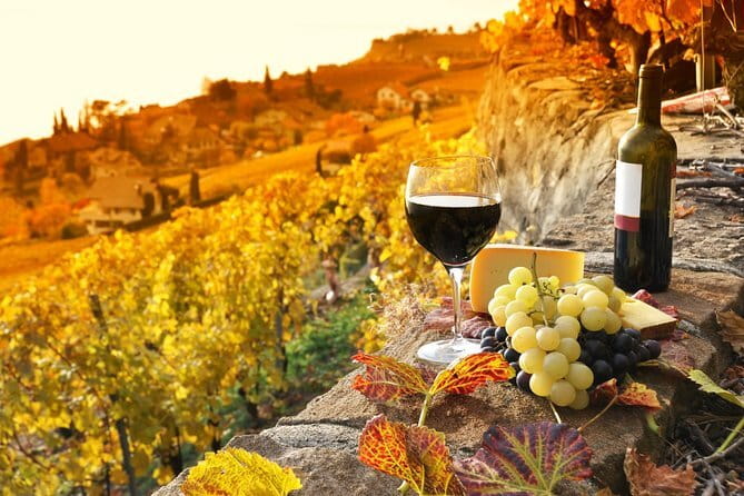 Private Tuscan Dinner Half Day from Florence - Who Should Book This Tour (and Who Might Skip It)