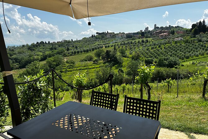 Private Tuscan Lunch with Wine & Evo oil tasting in the Vineyard - Key things to know before you go