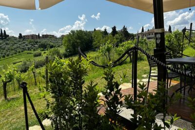 Private Tuscan Lunch with Wine & Evo oil tasting in the Vineyard - The biodynamic farm intro: vines and olives, explained in plain language