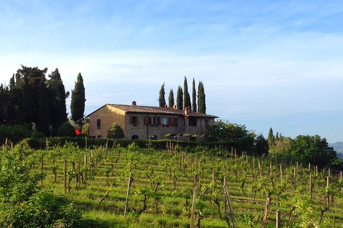 Private Tuscan meal with Wine and EVO oil tasting - Tuscan lunch on the farm: bruschetta, pasta, pecorino, and cantucci