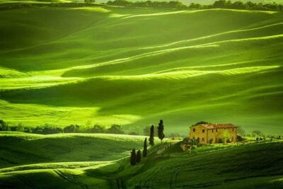 Private: Tuscany Day Tour from Rome with Optional Wine Tasting - The Scenic Countryside Drive via Monticchiello