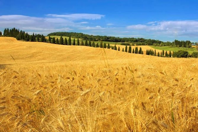 Private: Tuscany Day Tour from Rome with Optional Wine Tasting - Montalcino: Brunello Country and a Slower Afternoon Rhythm