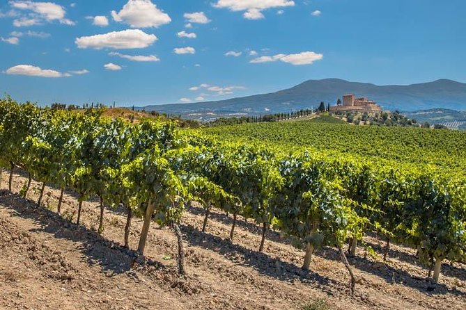 Private: Tuscany Day Tour from Rome with Optional Wine Tasting - Optional Winery Visit and Wine Tasting: When It Turns Into the Real Memory