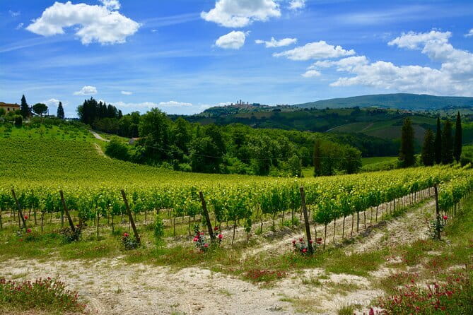 Private Tuscany Day Tour: San Gimignano and Chianti Wine Region from Florence - From Florence to Tuscany without the hassle