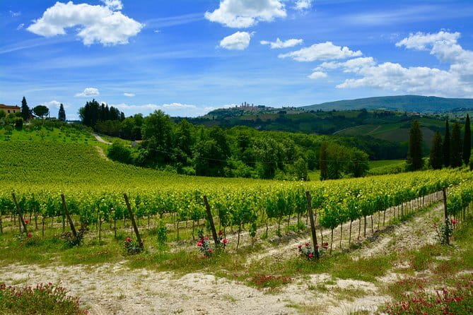 Private Tuscany Day Tour: San Gimignano and Chianti Wine Region from Florence - Is the price worth it?