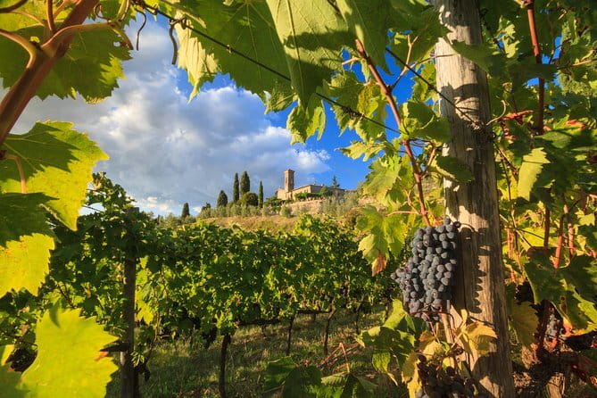 Private Tuscany Tour from Florence Including Siena, San Gimignano and Chianti Wine Region - Key highlights you’ll care about