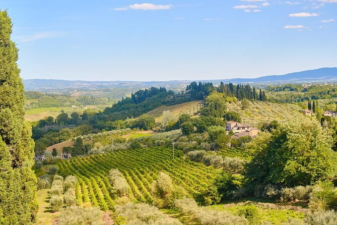 Private Tuscany Tour from Florence Including Siena, San Gimignano and Chianti Wine Region - San Gimignano’s 13 towers: how to enjoy the medieval Manhattan feeling