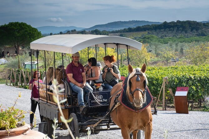 Private Tuscany Tour from Florence Including Siena, San Gimignano and Chianti Wine Region - Should you book this Tuscany day trip from Florence?